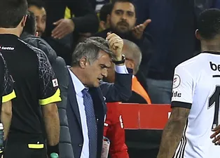 Şenol Güneş: Belki de bırakabilirim