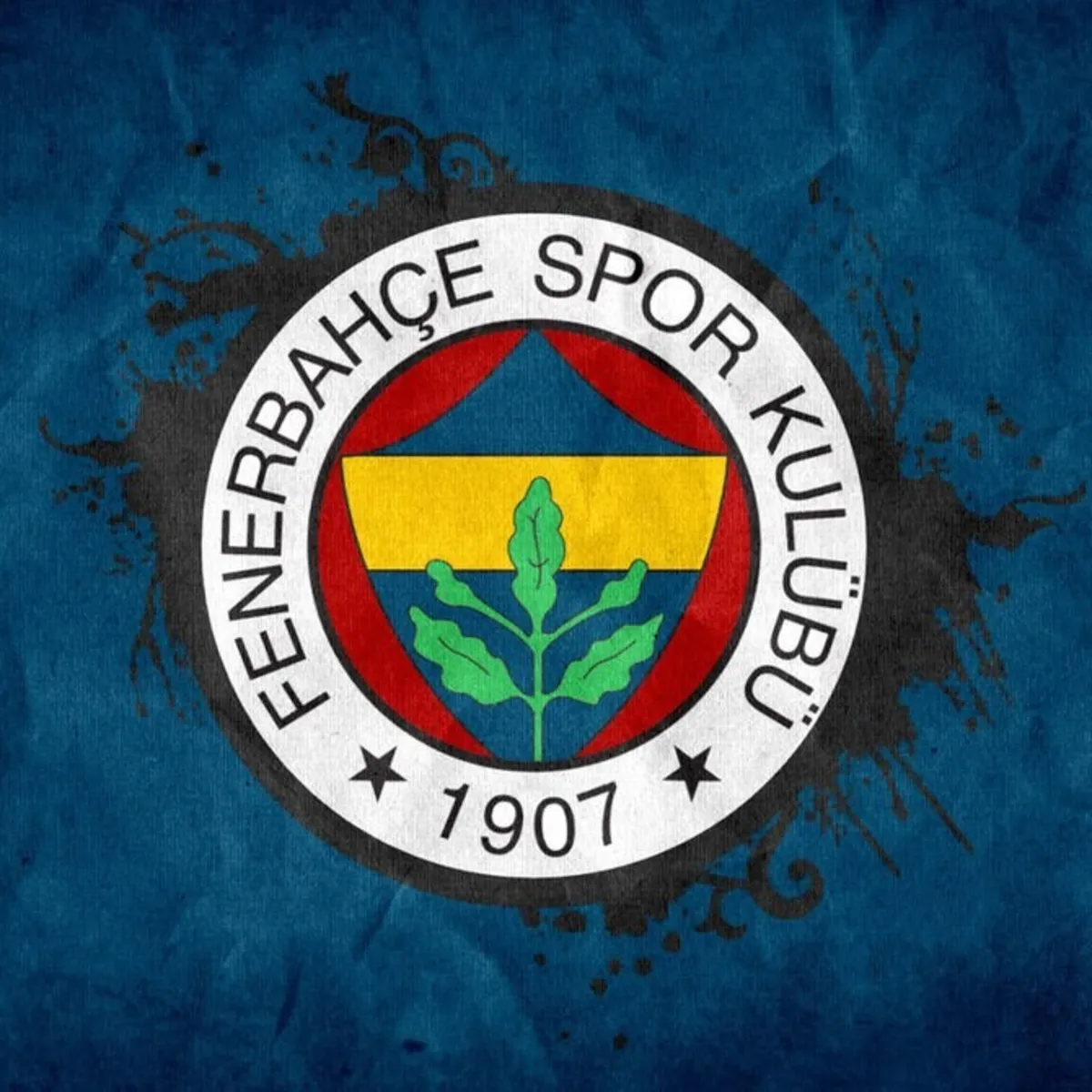 Fenerbahçe'den anlamlı jest: Forması çıkarılan çocuk Lyon maçında tribünde!