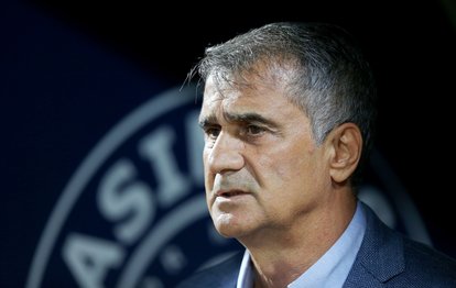 BEŞİKTAŞ HABERLERİ - Beşiktaş’ın yeni teknik direktörü Şenol Güneş’in ekibi belli oldu!