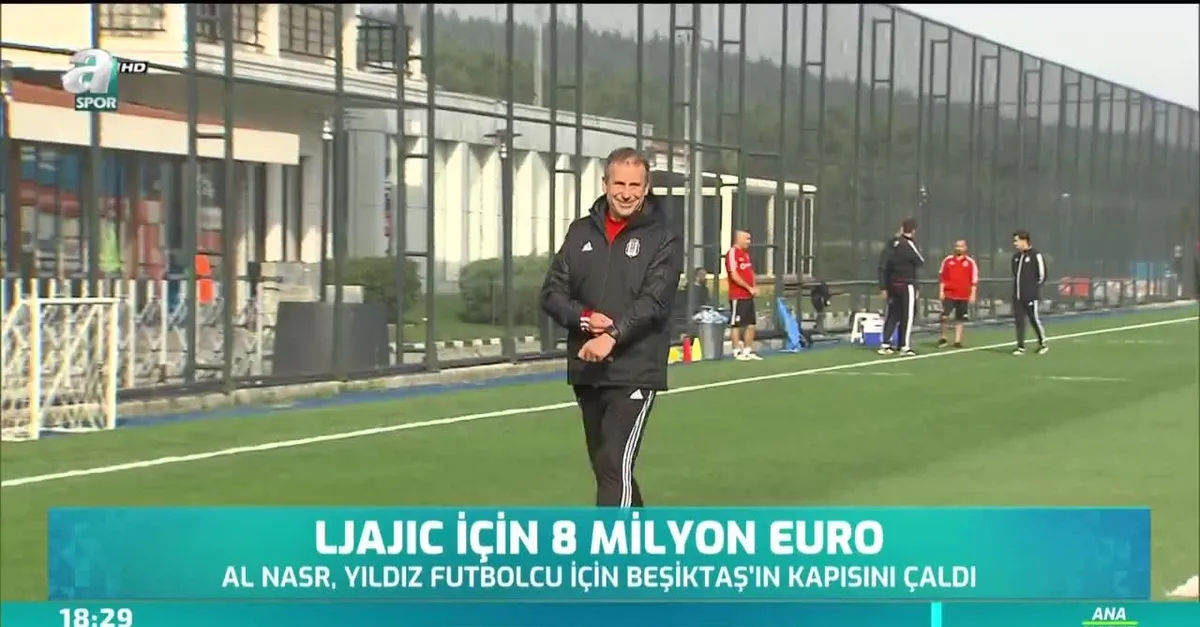 Ljajic için 8 milyon euro