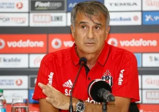 Şenol Güneş'ten Milli Takım açıklaması