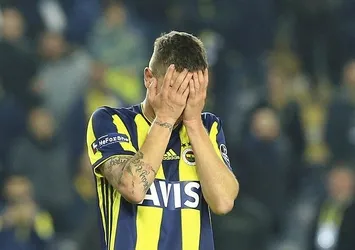 Kanarya evinde kayıp!