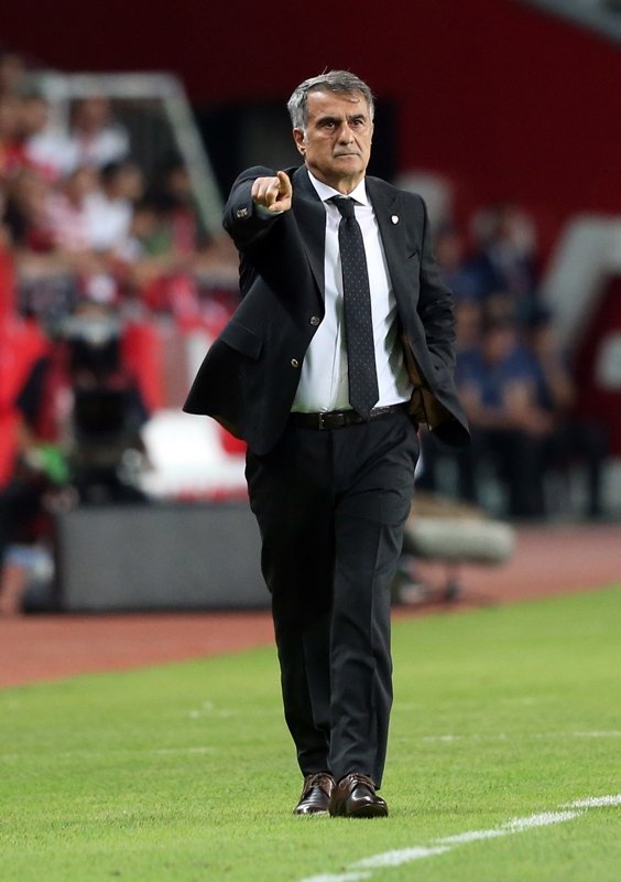 Türkiye - Fransa maçından kareler...