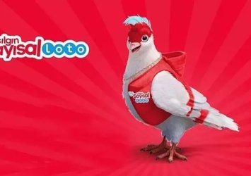 Çılgın Sayısal Loto çekildi! (14 Haziran)