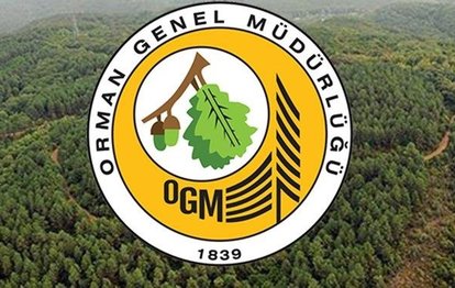 OGM Orman Muhafaza Memuru alım şartları nelerdir? OGM Orman Muhafaza Memuru başvuruları ne zaman?