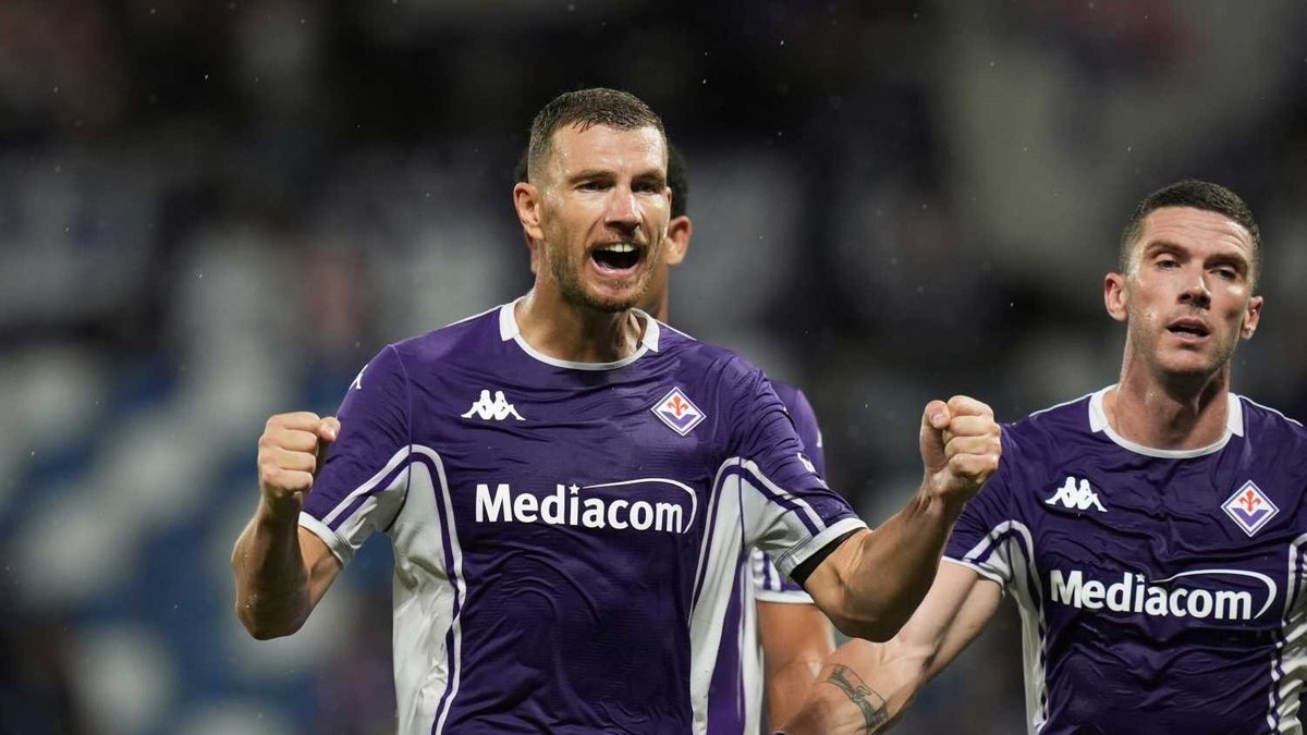 Edin Dzeko Schalke'de!