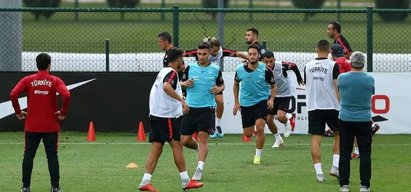 Taraftarlar milli maça ücretsiz taşınacak
