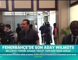 Fenerbahçe'de son aday Marc Wilmots