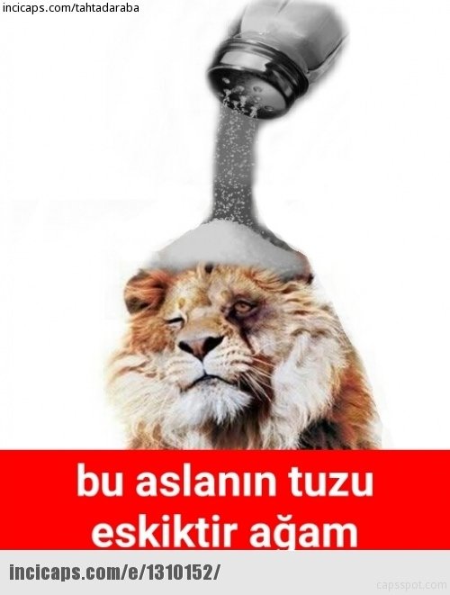 Tuzlaspor - Galatasaray maçı capsleri