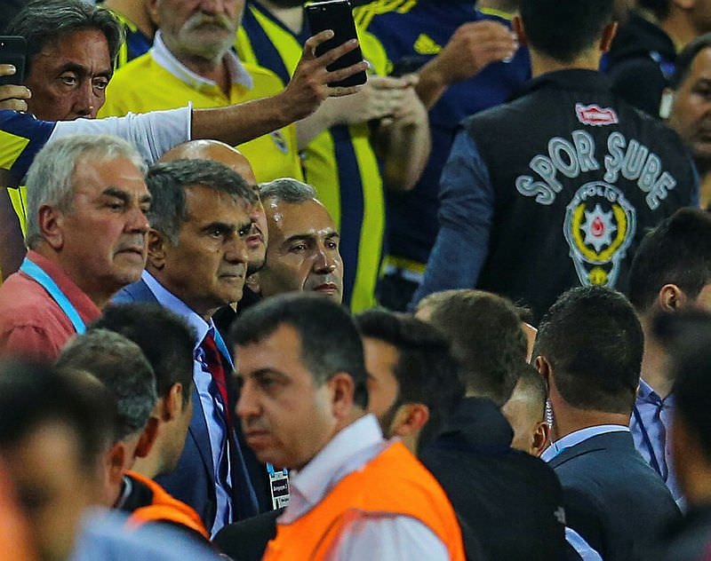 Şenol Güneş neden 1 maç ceza aldı?